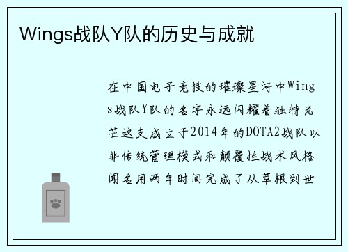 Wings战队Y队的历史与成就